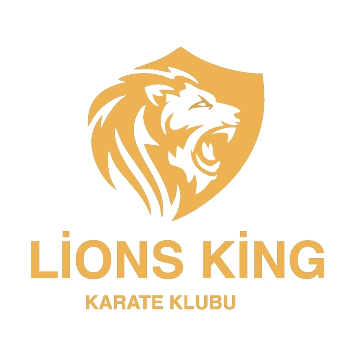 "Lion's King " karate Klubu