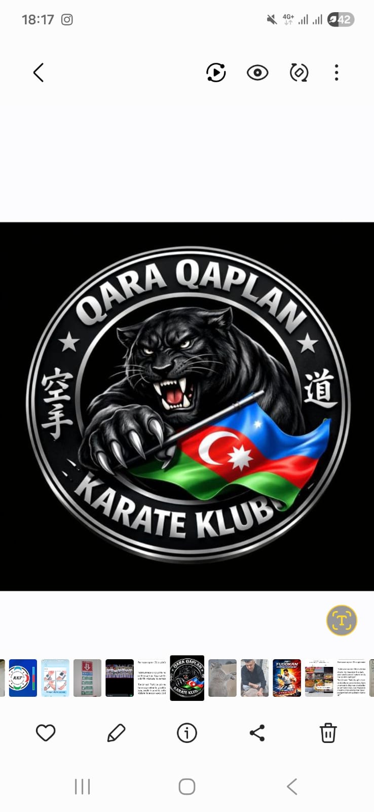 Qara Qaplan